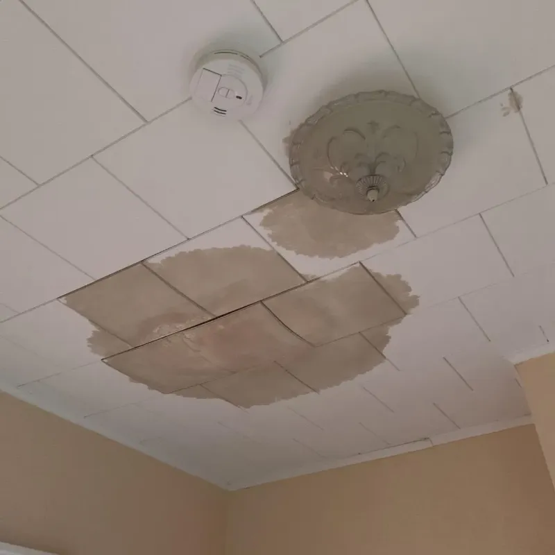 Ceiling Water Damage Repair in Dawson County, MT