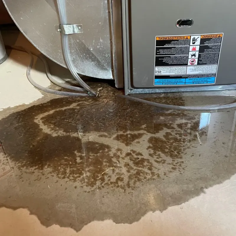 Pipe Burst and Leak Restoration in Dawson County, MT